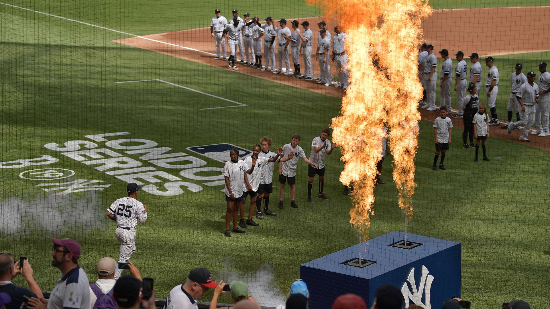罕见