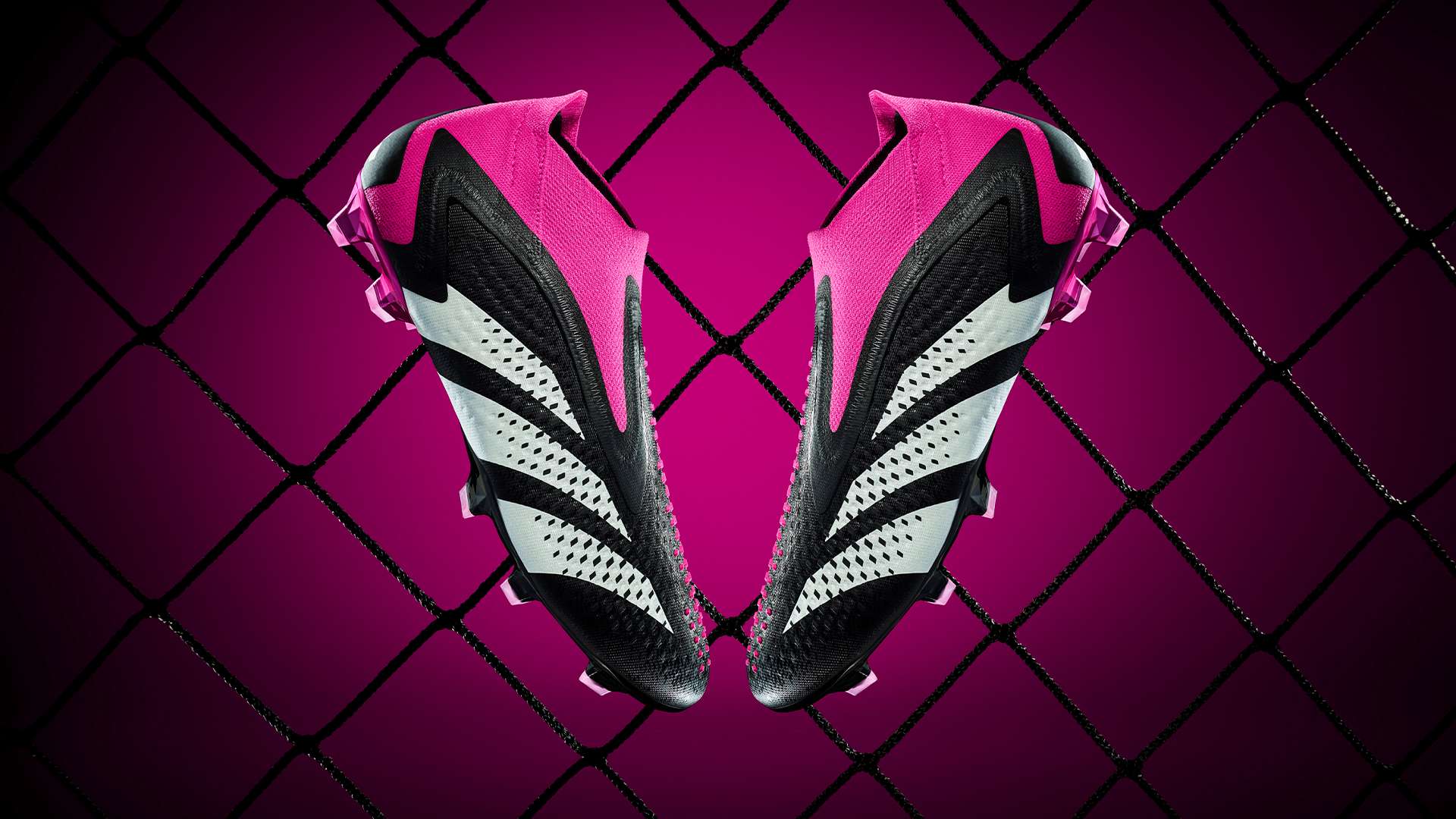 賭城杯尚處 賭城杯尚處