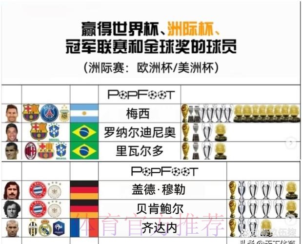 世界杯球队名单